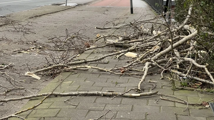 Avusturya’da şiddetli fırtına nedeniyle devrilen ağaçlar 2 çocuğun ölümüne yol açtı