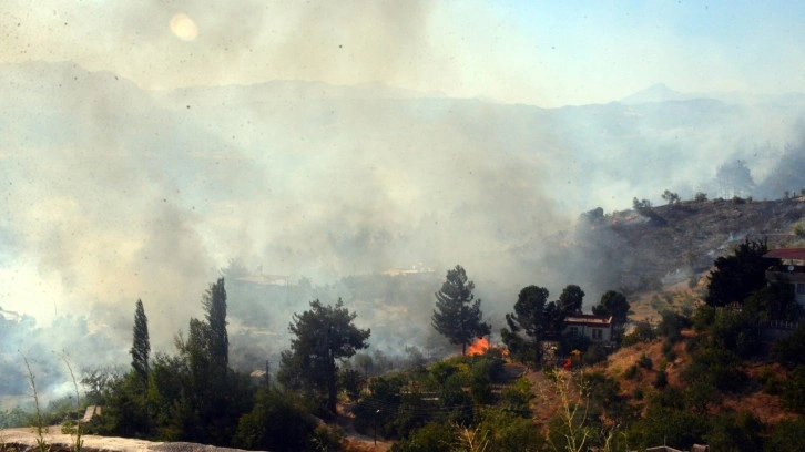 Cezayir orman yangınları ile mücadele ediyor. En az 34 kişi hayatını kaybetti