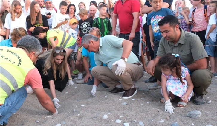 Çıralı Sahili'nde caretta caretta yavrularının yuvalarından denize yolcuğu başladı