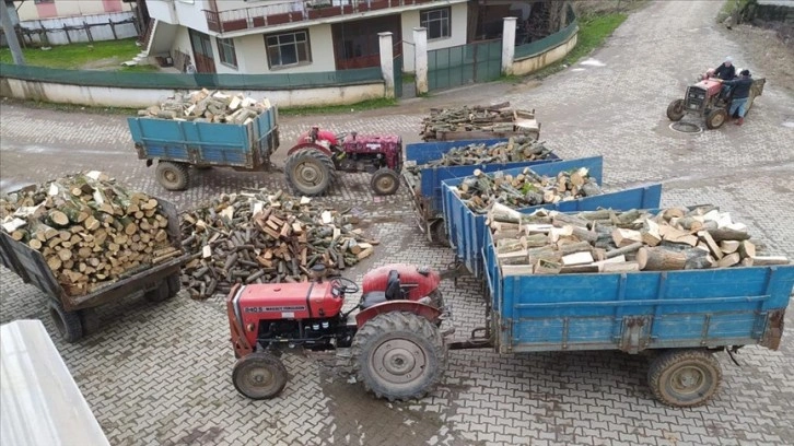 Düzce'de orman köylüleri deprem bölgesine yakacak odun gönderdi