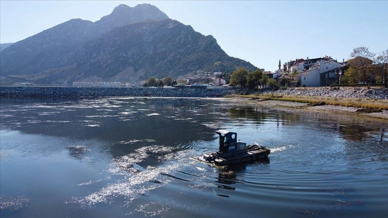 Eğirdir Gölü'nde ot ve yosun temizliğinin ay sonunda tamamlanması hedefleniyor