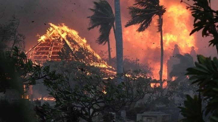 Hawaii'deki orman yangında 99 kişi ölmüştü. Biden'dan açıklama: En ölümcül orman yangını