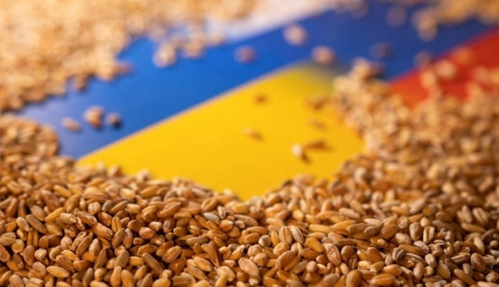 IMF: Tahıl fiyatları yüzde 15'e kadar artabilir
