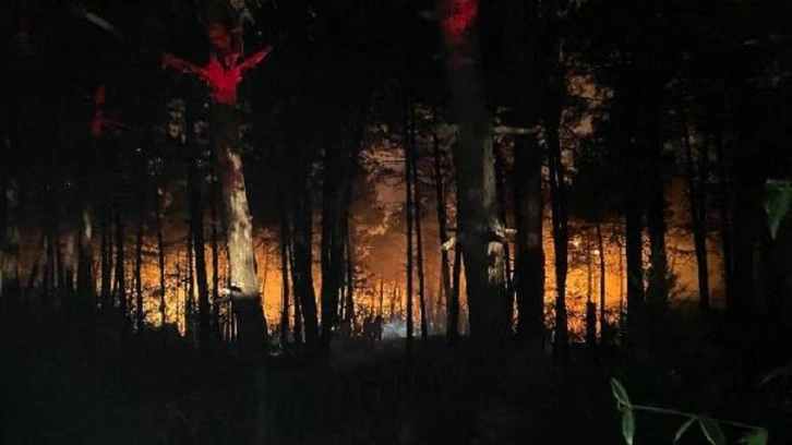 İstanbul'da orman yangını çıktı. Çok sayıda itfaiye ekibi bölgeye sevk edildi