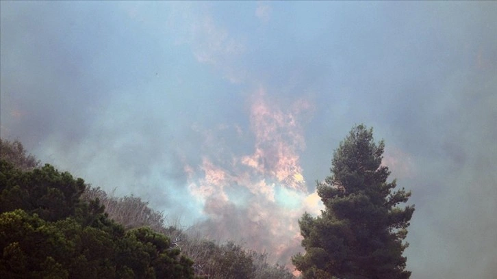 İtalya'nın kuzeybatısındaki ormanlarda yangın çıktı