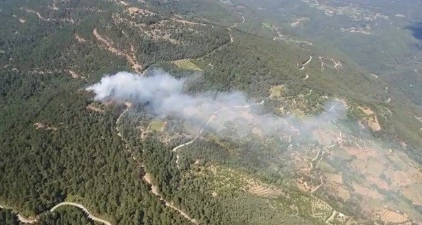 İzmir’de ormanlık alanda yangın kontrol altında
