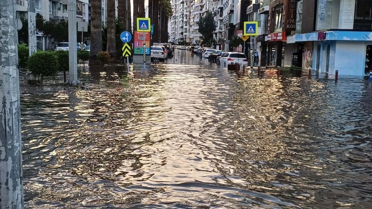 İzmir'de şaşırtan görüntü. Pelikan sokak aralarında yüzdü