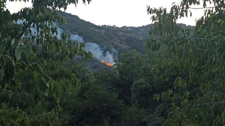 Kastamonu'da orman yangını çıktı. Ekipler bölgeye sevk edildi