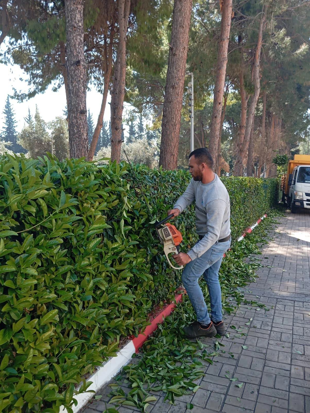 Kepez’de bahar hazırlığı