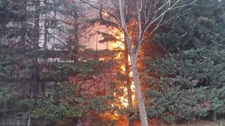 Kışın ortasında orman yangını. İstanbul'daki yangın kontrol altına alındı