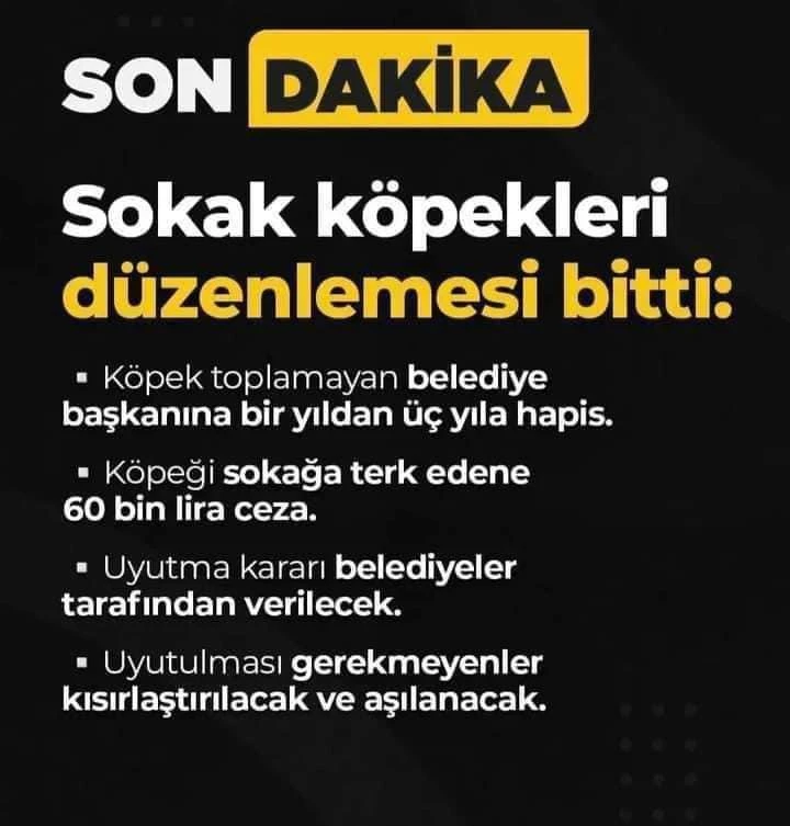 Köpek işi tamam sanki..