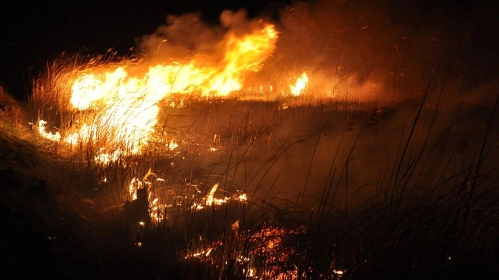 Koruma altındaki Göksu Deltası'nda korkutan yangın