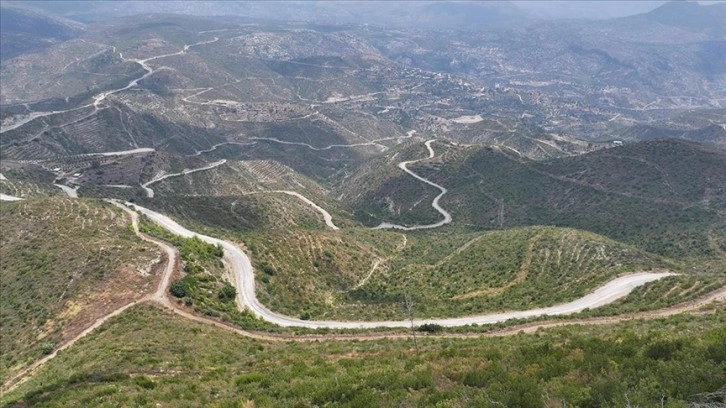 Manavgat yangınının üçüncü yılında yeşeren ormanlık alanlar incelendi