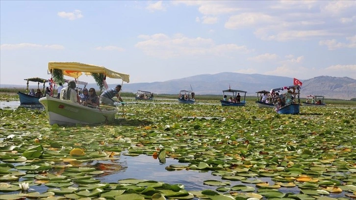 Nilüferlerle kaplı Işıklı Gölü sezonun ilk ziyaretçilerini ağırlıyor