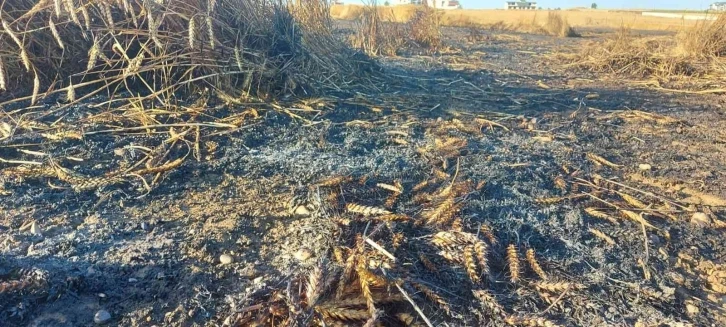 Silivri’de buğday tarlası alev alev yandı
