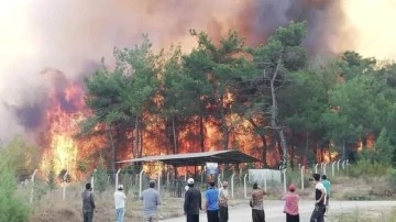 44 saatin bedeli 40 yılda ödenecek: Kahramanmaraş'taki yangının sonucu çok ağır olacak!