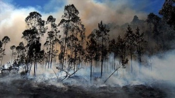 AB ülkelerindeki orman yangınlarında bu yıl 750 bin hektar alan kül oldu