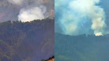 Adana'da orman yangını! Yangın 4,5 saat sonra kontrol altına alındı