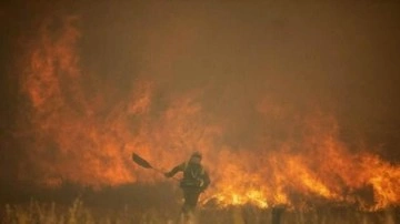Almanya'da orman yangını sebebiyle acil durum kararı alındı