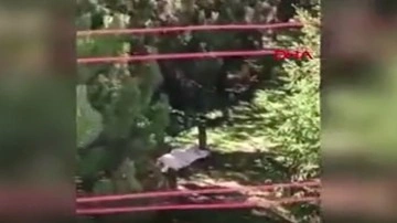 Ankaralıları korkutan görüntü! 13 yaşındaki çocuğun cesedi parkta bulundu