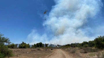 Antalya'da orman yangını! Müdahale ediliyor