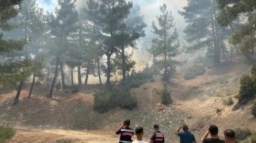 Antalya'da orman yangını! Yangın havadan ve karadan müdahale sonrası söndürüldü