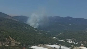 Antalya'da ormanlık alanda başlayan yangın kontrol altına alındı