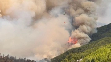 Bakan Yumaklı'dan Antalya'da yangın açıklaması. 'Kontrol altına alındı'
