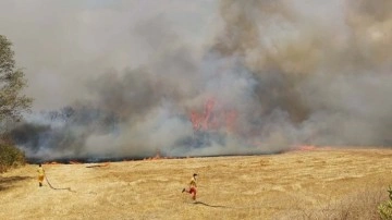 Balıkesir'de korkutan orman yangını! Tarım arazisindeki yangın ormana sıçradı