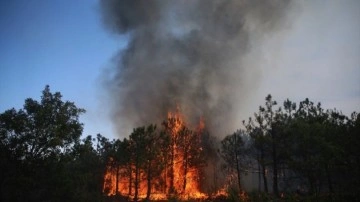 Bilecik'te orman yangını! Alevlere havadan ve karadan müdahale ediliyor