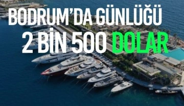 Bodrum'da yat ve teknelerin günlük kirası için en az 2 bin 500 dolar isteniyor