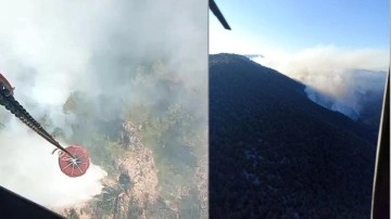 Bolu'daki orman yangını ikinci gününde. Alevlere havadan müdahale sürüyor
