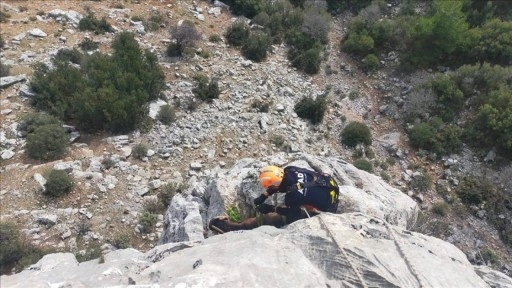 Burdur'da dağlık alanda mahsur kalan keçileri AFAD kurtardı