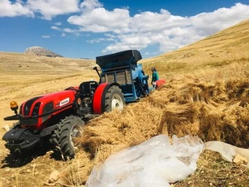 Büyükşehir'in Gazipaşa'daki nohutlarında hasat zamanı