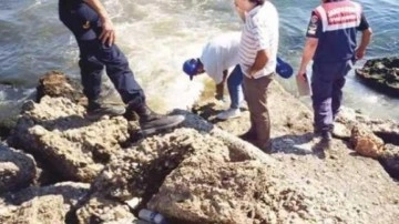 CHP'li belediye turizm cennetinde skandal! Denize lağım akıttılar