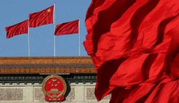 Çin, ülkedeki danışmanlık firmalarını sorguluyor