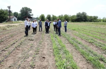 Dağ çileği projesi yaygınlaştırılacak
