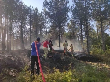 Edirne’de orman yangını: Havadan ve karadan müdahale ediliyor
