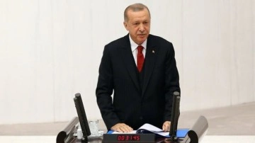 Erdoğan: "Avrupa ektiğini biçiyor, bizde sıkıntı yok"