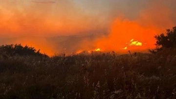 Fas'ın kuzeyindeki orman yangınlarında 3 kişi öldü
