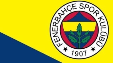 Fenerbahçe'den resmi transfer açıklaması. O ismin transferi veto edildi