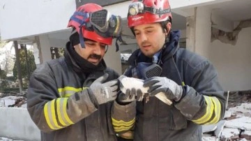 Günlerdir enkaz başından ayrılmıyorlardı. Yavruları ölen güvercinler bölgeden çıkarıldı