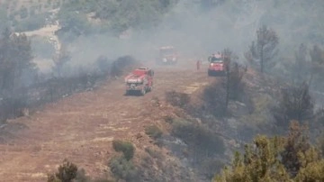 Hatay'daki orman yangınında 4 gözaltı