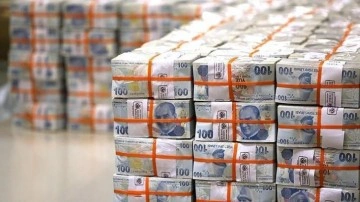 Hazine iki ihalede 24,2 milyar lira borçlandı
