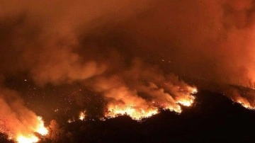İki eyalet orman yangınlarıyla boğuşuyor. Olağanüstü hal ilan edildi, binlerce kişi tahliye edildi