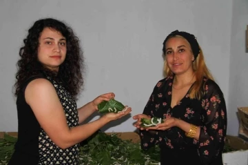 İki kadın arkadaş sırt sırta verdi ipek böcekçiliğine başladı, 45 günde 34 bin lira kazanacaklar
