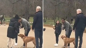 İngiltere Başbakanı Sunak köpeğini tasmasız gezdirdi, Londra polisinden kaçamadı
