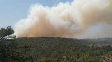 İspanya orman yangınları ile mücadele ediyor. Kanarya Adaları'ndan 26 bin kişi tahliye edildi