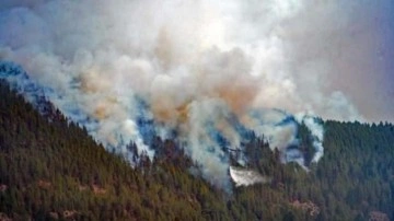 İspanya&rsquo;daki orman yangınları söndürülemiyor: Alevler 60 metre yüksekliğe ulaştı