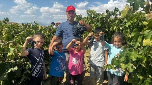 Isparta'da kurulan üzüm bağları köy yaşantısını canlandırdı